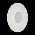 SL925.501.01 Светильник уличный настенно- потолочный ST-Luce Белый/Белый LED 1*5W
