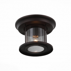 SL080.402.01 Светильник уличный потолочный ST-Luce Темный кофе/Прозрачный, Темный кофе E27 1*60W