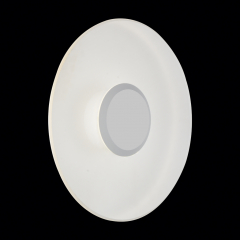 SL925.501.01 Светильник уличный настенно- потолочный ST-Luce Белый/Белый LED 1*5W