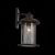 SL080.401.01 Светильник уличный настенный ST-Luce Темный кофе/Прозрачный, Темный кофе E27 1*60W