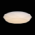 SLE200.512.01 Светильник настенно-потолочный ST-Luce Белый/Белый LED 1*24W