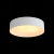SL392.502.04 Светильник потолочный ST-Luce Белый/Белый E14 4*40W