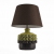 SL995.304.01 Настольная лампа ST-Luce Фисташковый, Коричневый/Коричневый E27 1*60W