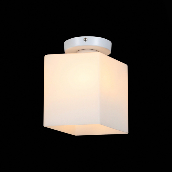 SL548.501.01 Светильник настенно-потолочный ST-Luce Белый/Белый E27 1*60W