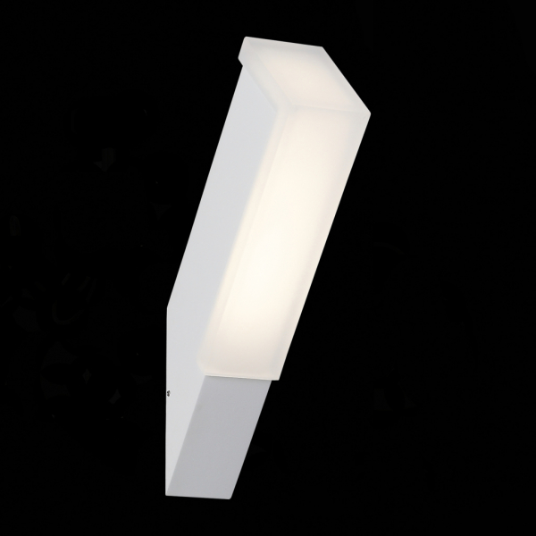 SL096.511.02 Светильник уличный настенный ST-Luce Белый/Белый LED 2*2W