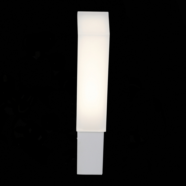 SL096.511.02 Светильник уличный настенный ST-Luce Белый/Белый LED 2*2W