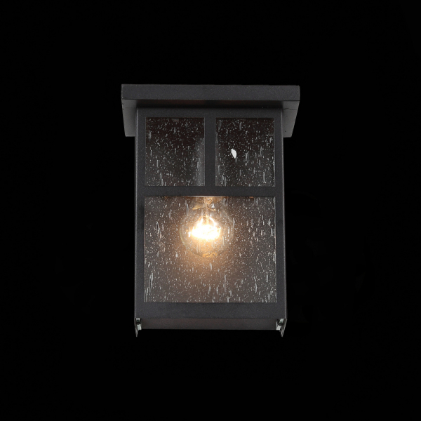 SL079.401.01 Светильник уличный настенный ST-Luce Темный кофе/Прозрачное кракелированное стекло E27