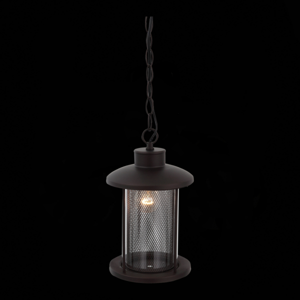 SL080.403.01 Светильник уличный подвесной ST-Luce Темный кофе/Прозрачный, Темный кофе E27 1*60W