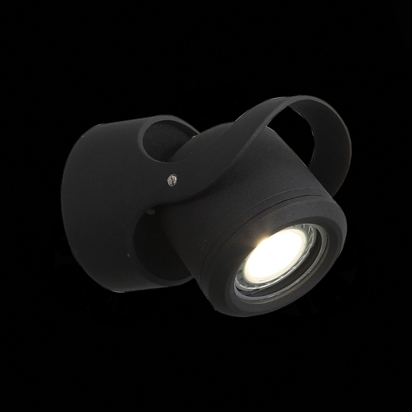 SL093.401.01 Светильник уличный настенный ST-Luce Черный/Черный, Прозрачный G5,3 1*7W