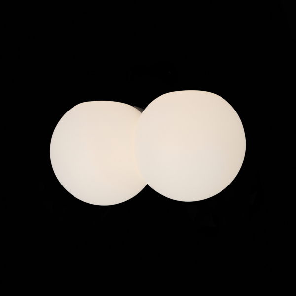 SL809.501.02 Светильник настенно-потолочный ST-Luce Белый/Белый E27 LED 2*10W