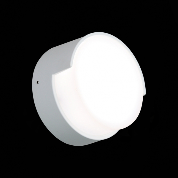 SL090.511.01 Светильник уличный настенный ST-Luce Белый кварцевый/Белый кварцевый, Белый матовый LED