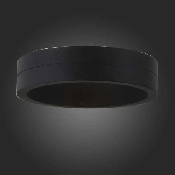 SL562.401.01 Светильник уличный настенный ST-Luce Черный/Черный LED 1*6W
