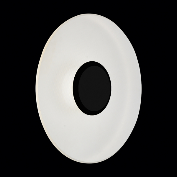 SL925.401.01 Светильник уличный настенно- потолочный ST-Luce Черный/Белый LED 1*5W