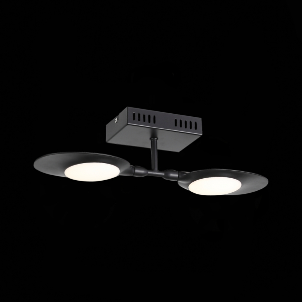 SL824.401.02 Светильник настенно-потолочный ST-Luce Черный/Черный, Белый LED 2*6,5W