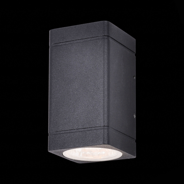 SL563.401.02 Светильник уличный настенный ST-Luce Черный/Прозрачный LED 2*8W