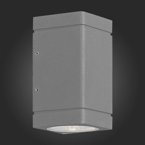 SL563.701.02 Светильник уличный настенный ST-Luce Серый/Прозрачный LED 2*8W